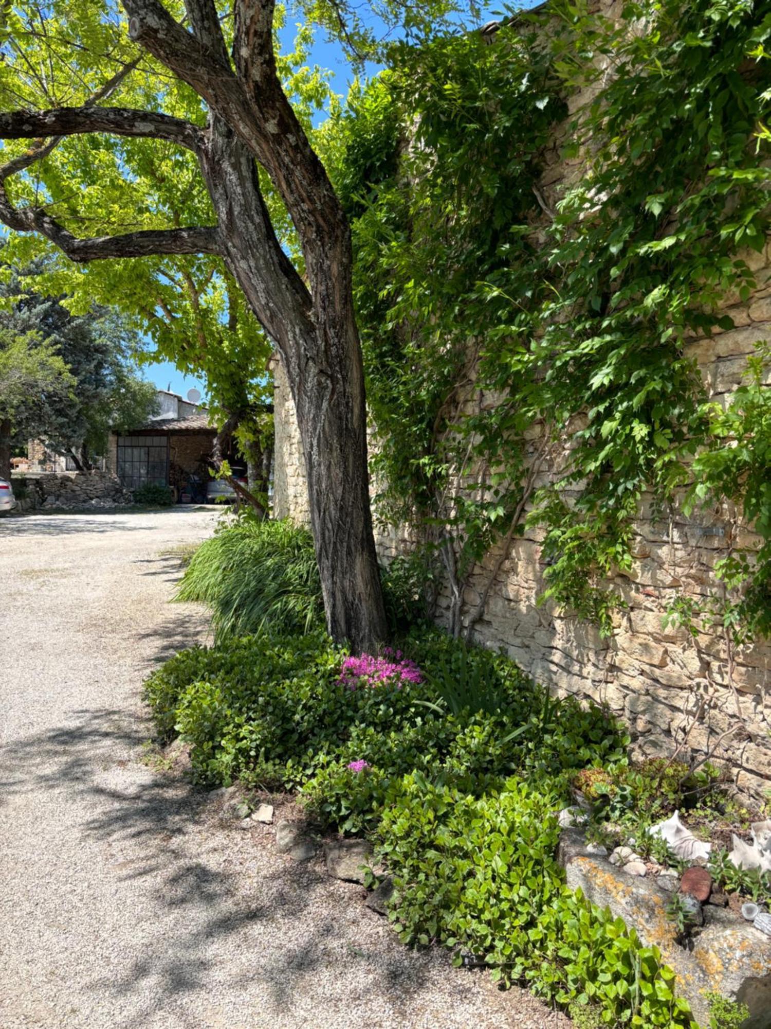 Les Juliens Apartment Gordes Exterior photo